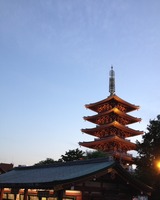 写真 5
