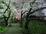 fukui9