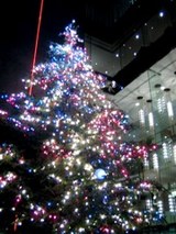 銀座ミキモトクリスマスツリー