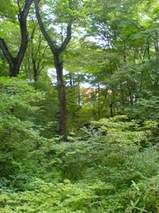 ��ܡ��˥����Ѵ�1