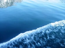 web 青森 137
