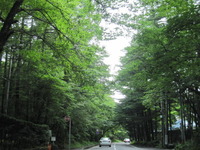 軽井沢1