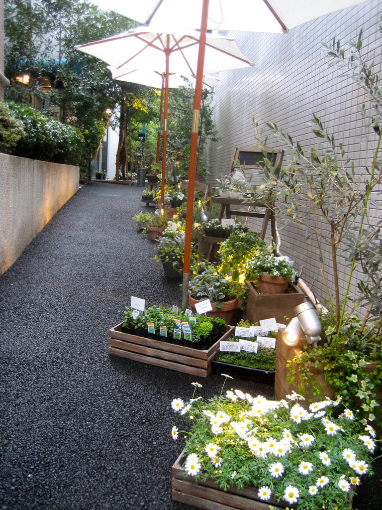 恵比寿フラワーショップ Kusakanmuri クサカンムリ で穴場ティータイム 銀座ol 横浜ol ちょっとリュクスな毎日