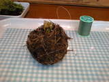 苔玉_土の塊