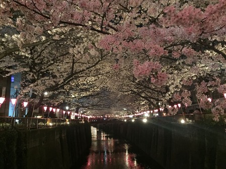 �ܹ����