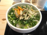 太常 ねぎうどん