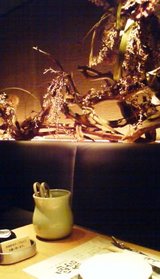 銀座 北海料理“函館”1
