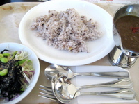 �������졼