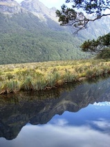 �˥塼�������� �ե����ɥ��ɹ�Ω���� �ߥ顼��