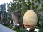 IMG_0101