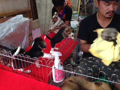 BKK_01_10