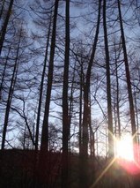 �ڰ��� ������3