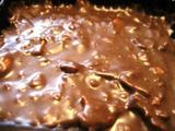 BIG ISLAND CANDIES チョコアップ