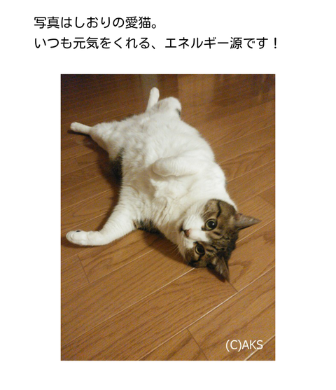 Screenshot_2014-12-27-22-23-31~01