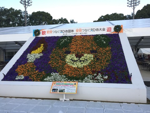 o19201440p