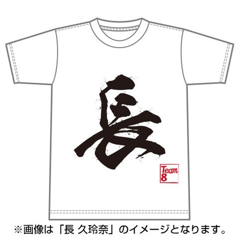 t13