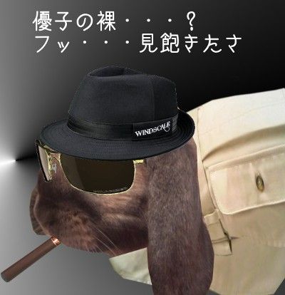 lib507138