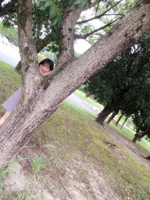 yabuki