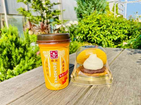 風味絶佳！滋養豊富！【森永乳業】の「森永ミルクキャラメル