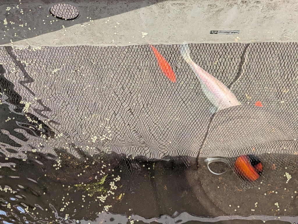 PXL_20260421_215120667.MP