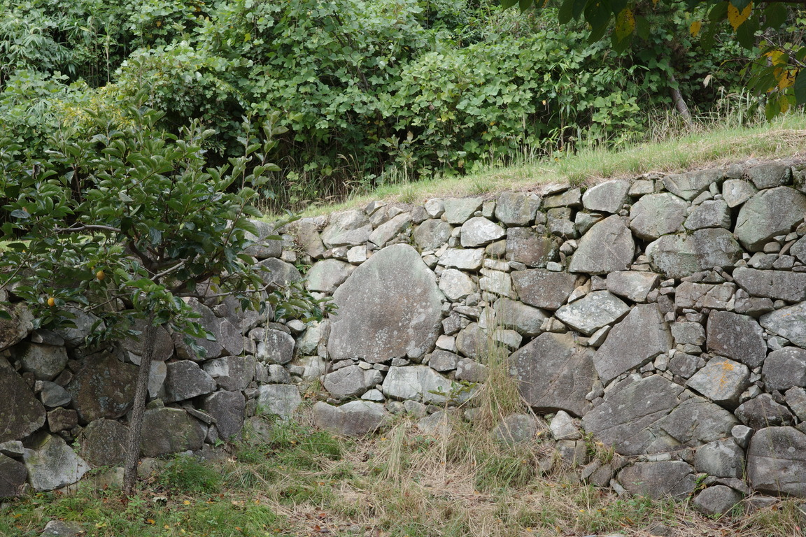 R0004080