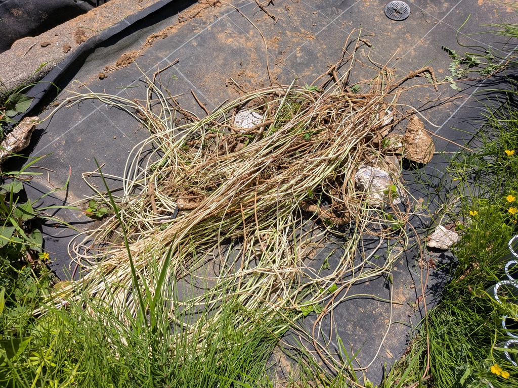 PXL_20260505_025449422