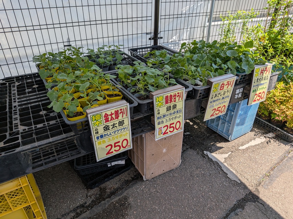 PXL_20260505_014209193