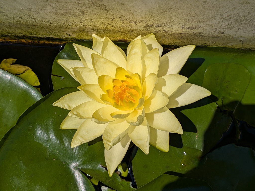 PXL_20260613_004652945