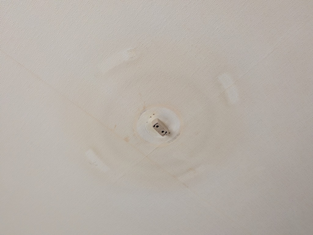 PXL_20260509_041150914