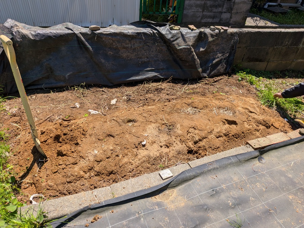 PXL_20260505_022840228.MP