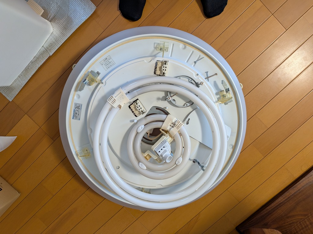 PXL_20260509_044300755