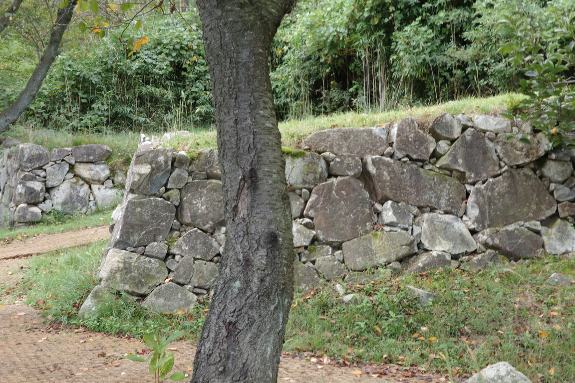 R0004079