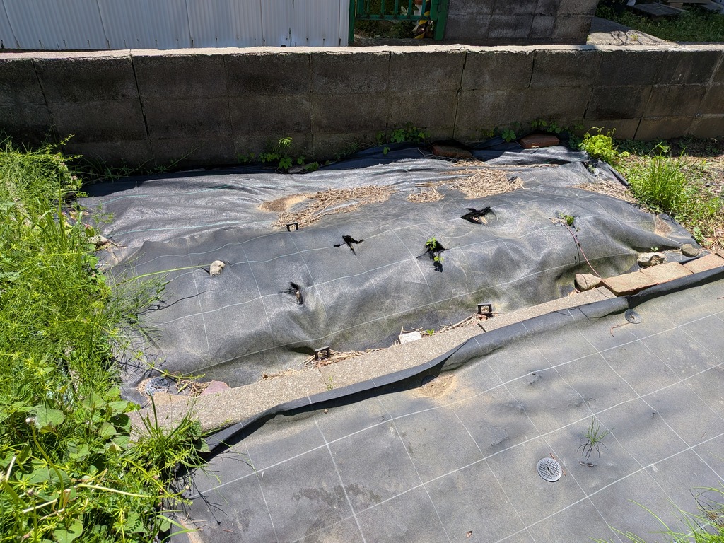 PXL_20260505_021556965