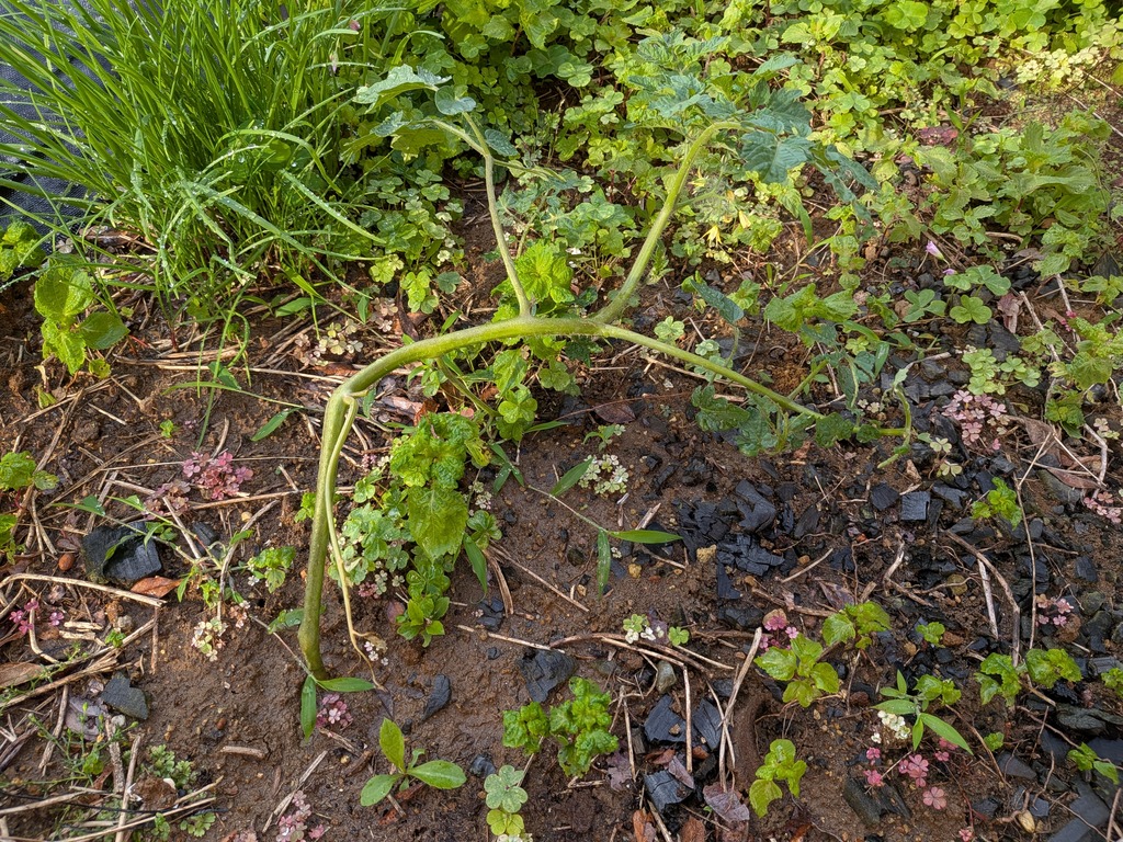 PXL_20260610_214811008