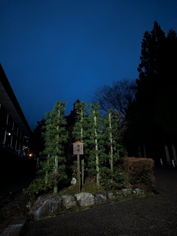 PXL_20260331_201453798