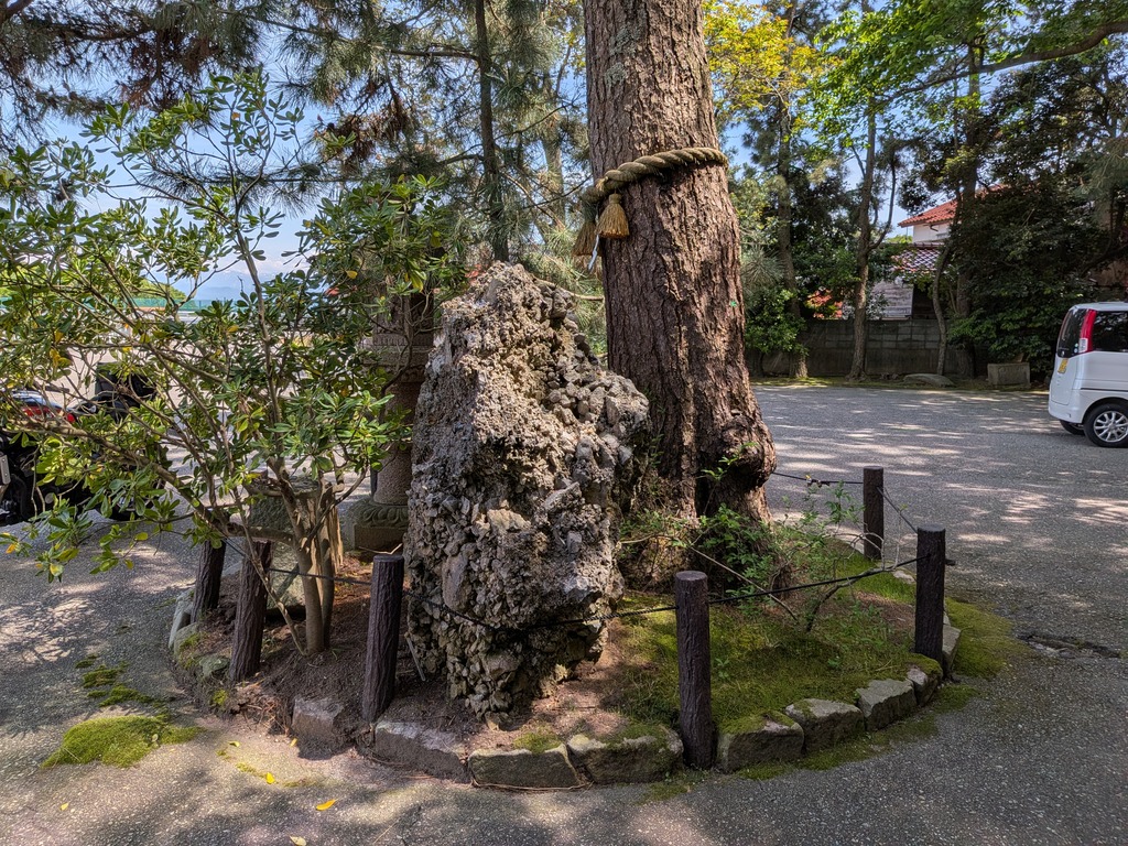 PXL_20260507_042126631