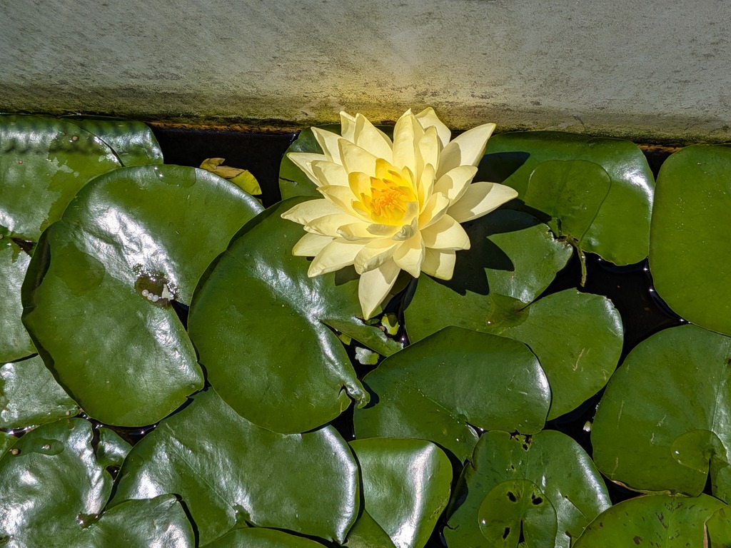 PXL_20260613_004655245