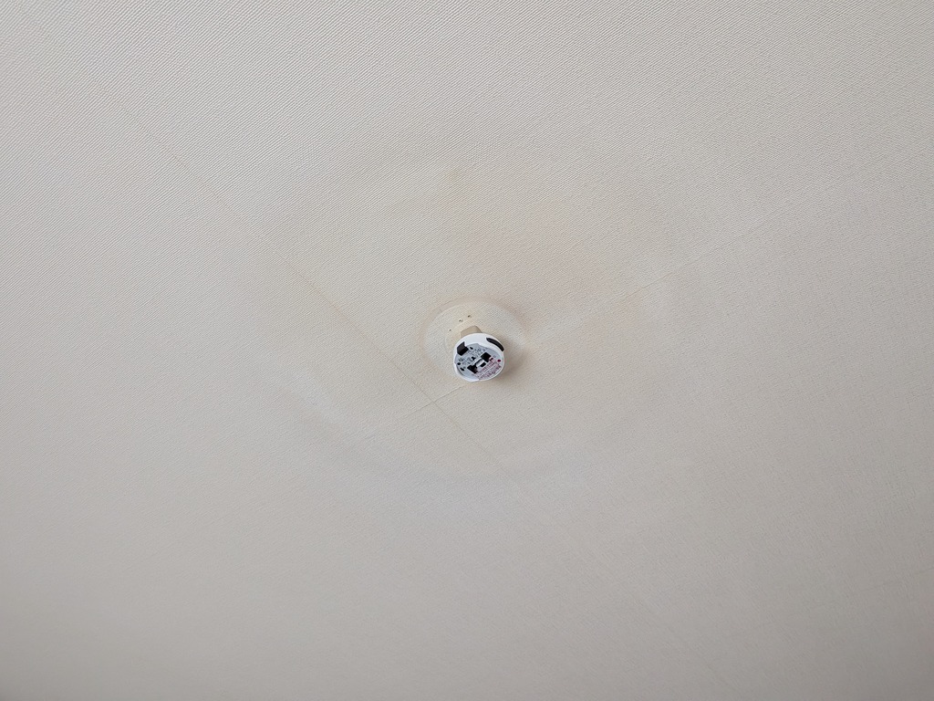 PXL_20260509_042453980