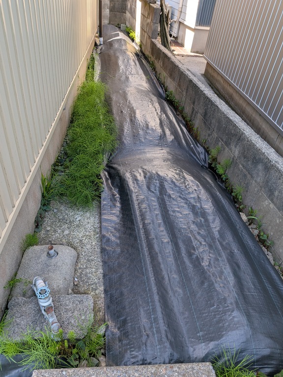PXL_20260412_012502768