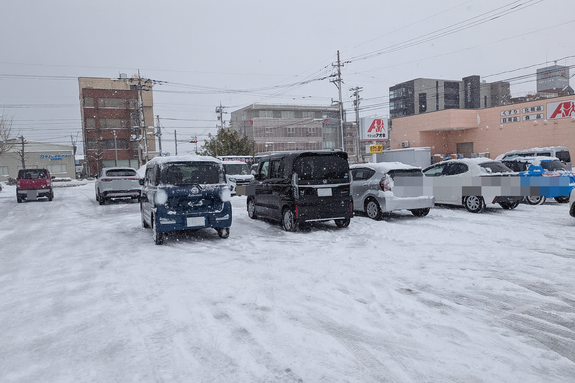 uploaded snowy parki