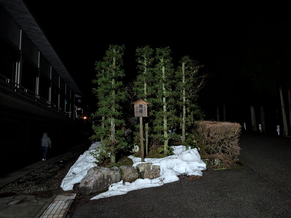 PXL_20260228_201005957