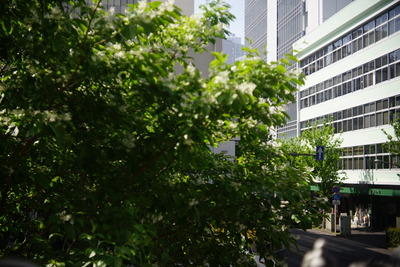 DSC01405