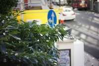 DSC02478-70