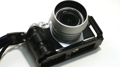 P1000339