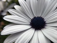 IMG_0742