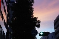DSC00554