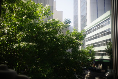 DSC01433