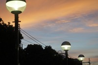 DSC00549