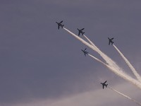 P1010586