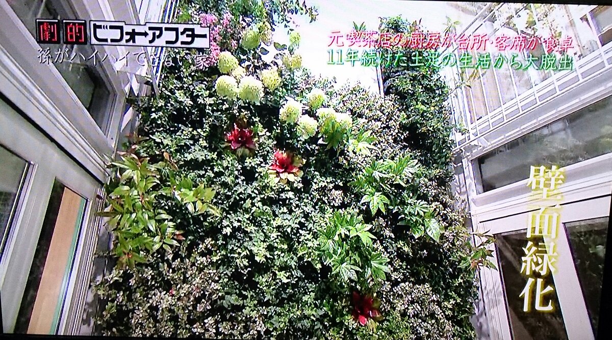 劇的ビフォーアフターで匠がまたやらかしたぞwwwwww 画像あり 芸能 ニュース速報まとめ 劇的ビフォーアフターで匠がまたやらかしたぞwwwwww 画像あり 芸能 ニュース速報まとめ